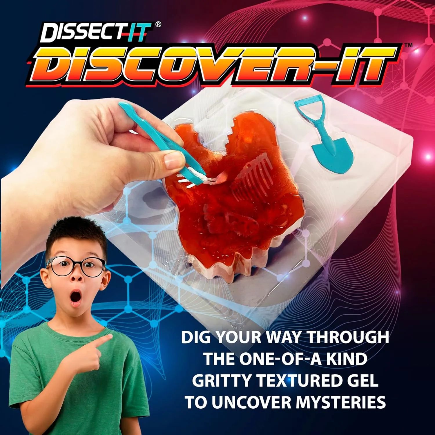 Discover It - Dinosaur Dig