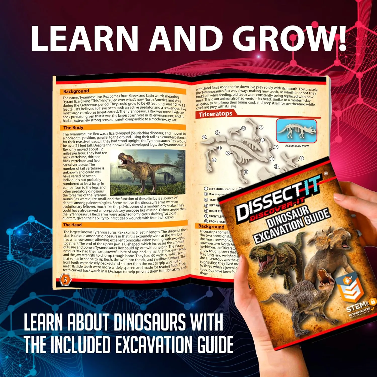 Discover It - Dinosaur Dig