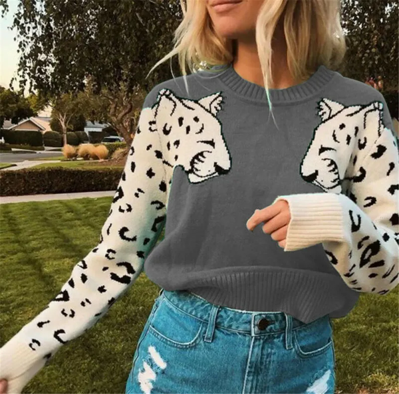 Women Knitted Leopard Print Design Sweater