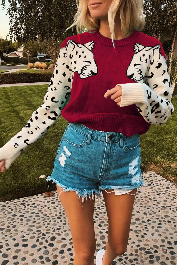 Women Knitted Leopard Print Design Sweater