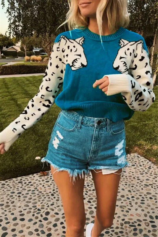 Women Knitted Leopard Print Design Sweater