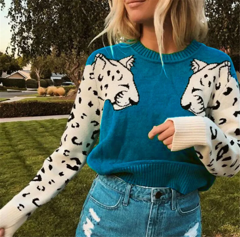 Women Knitted Leopard Print Design Sweater