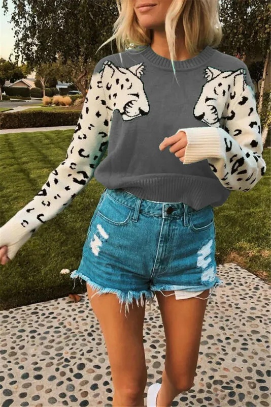 Women Knitted Leopard Print Design Sweater